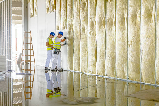 Best Wall Insulation Contractor  in Brewerton, NY